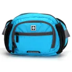 SUISSEWIN Fanny Pack Travel Bum Bag SNR006